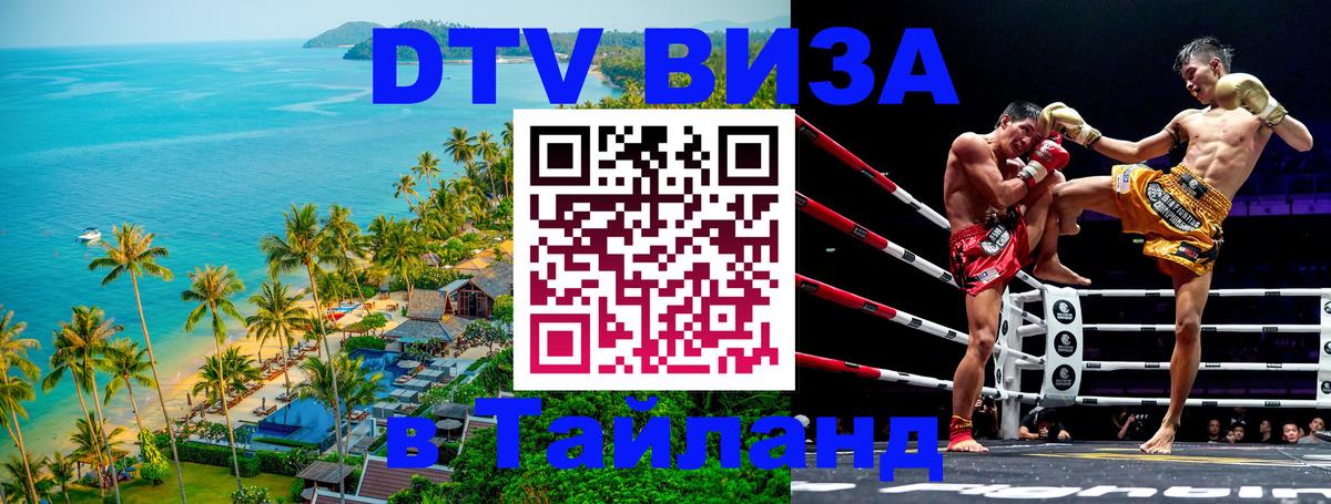 Сколько стоит DTV виза — актуальные цены, оформление даже без документов - Кемерово  19.11.2025 